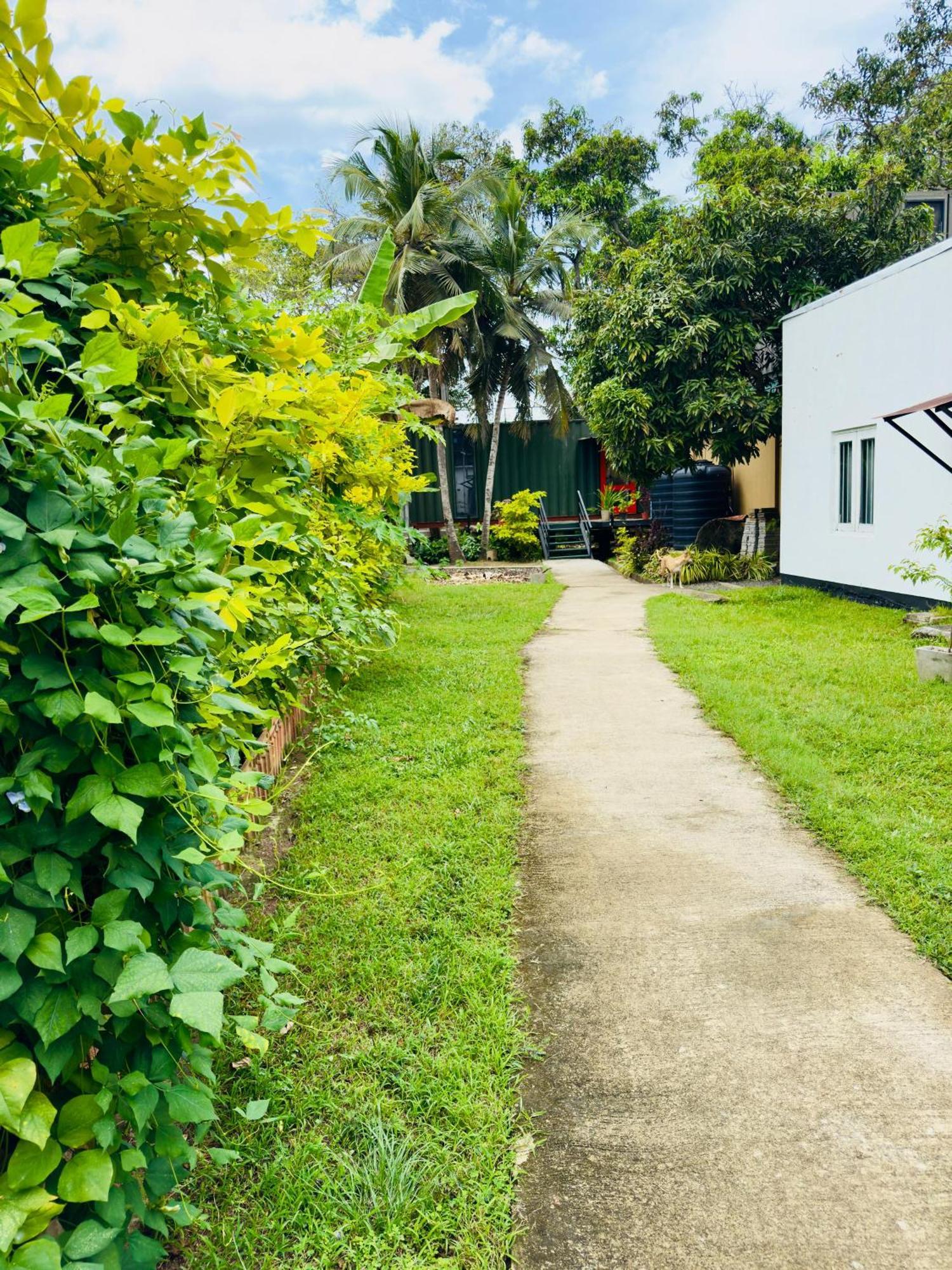 Traveler'S Haven Hostel At Colombo Intl Airport Katunayaka Exterior photo